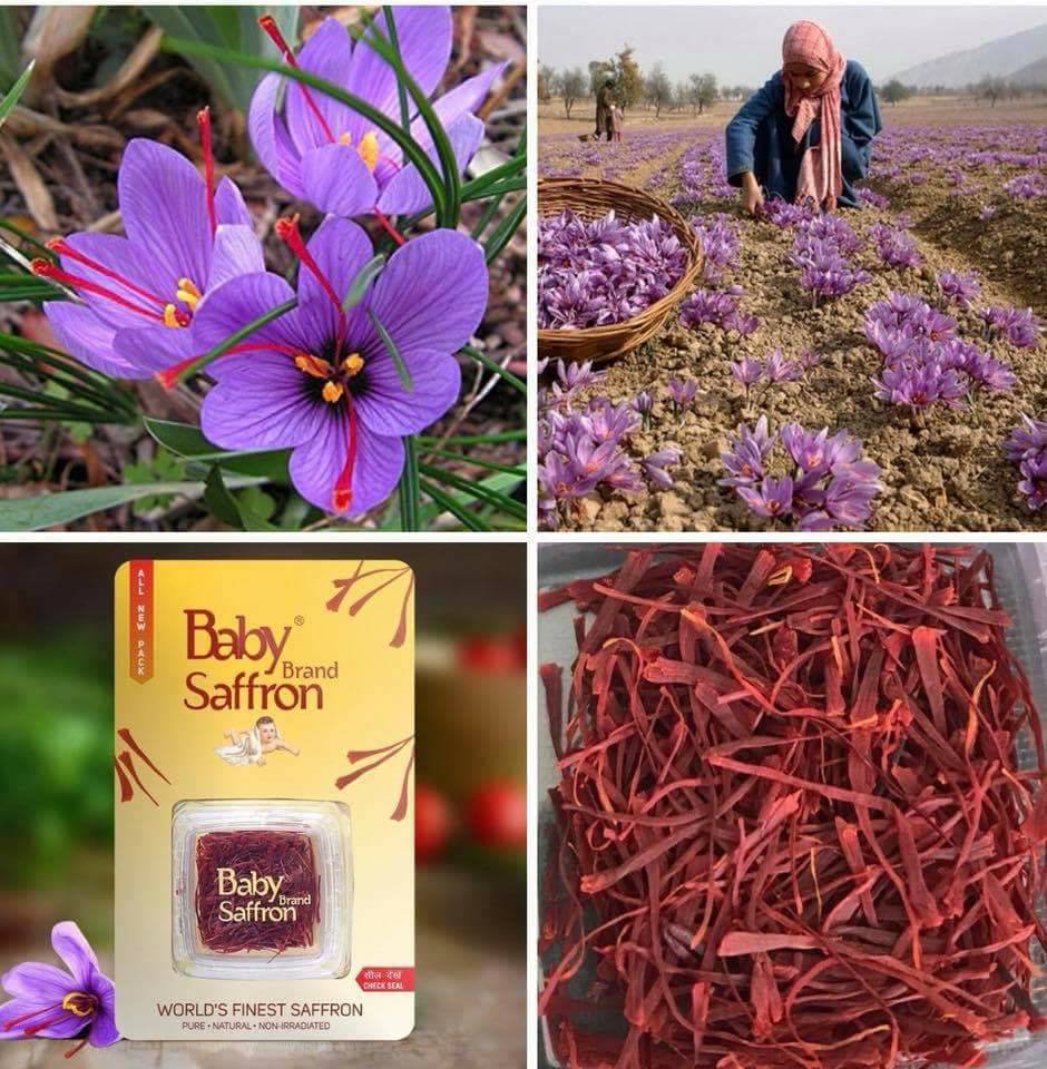 Saffron rất có ích cho sức khỏe nếu bạn biết cách sử dụng