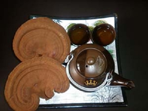 dung-bao-tu-nam-linh-chi